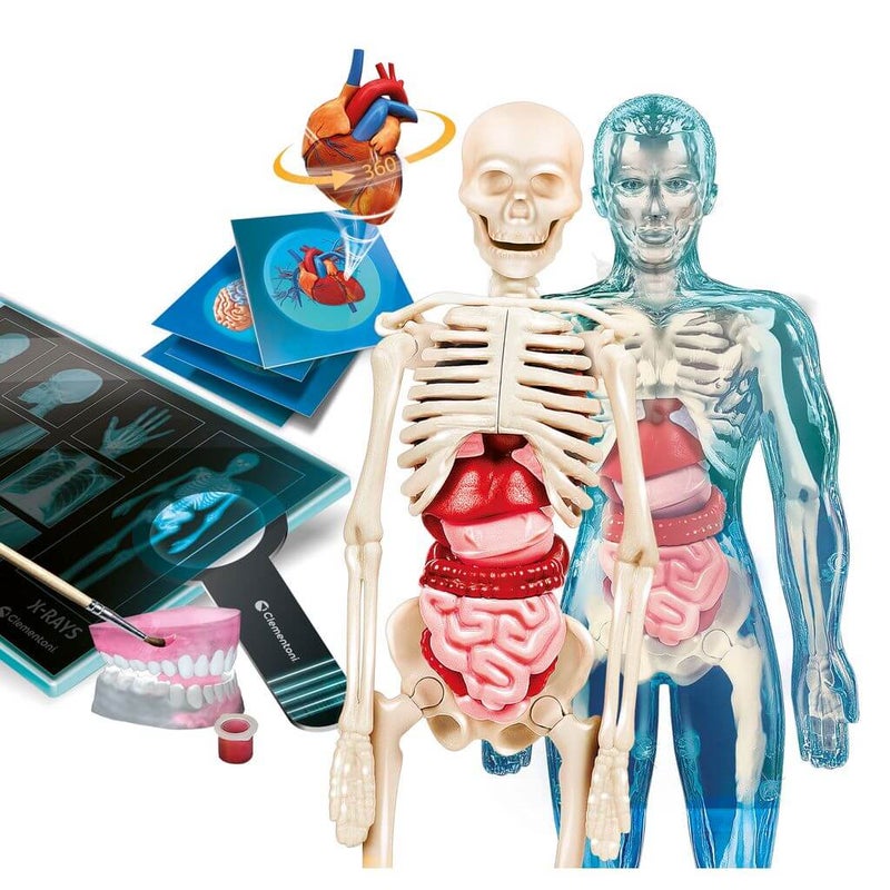 Clementoni Ihmisen anatomia tiedesetti