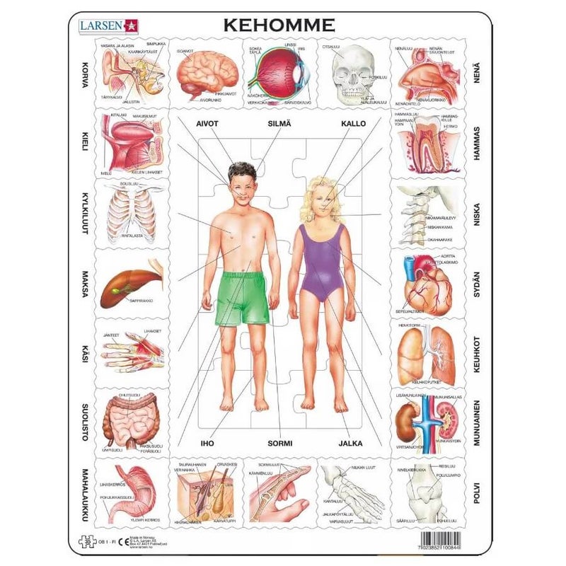 Larsen Kehomme palapeli